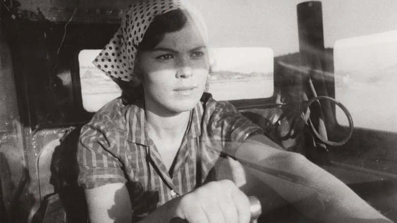 кадр из фильма Brazdat