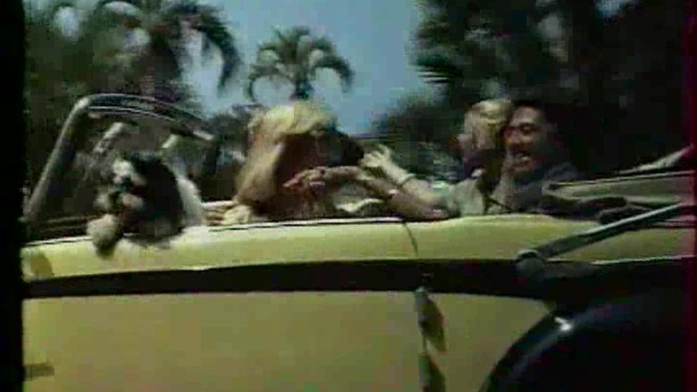 кадр из фильма Pilska Julia på bröllopsresa!