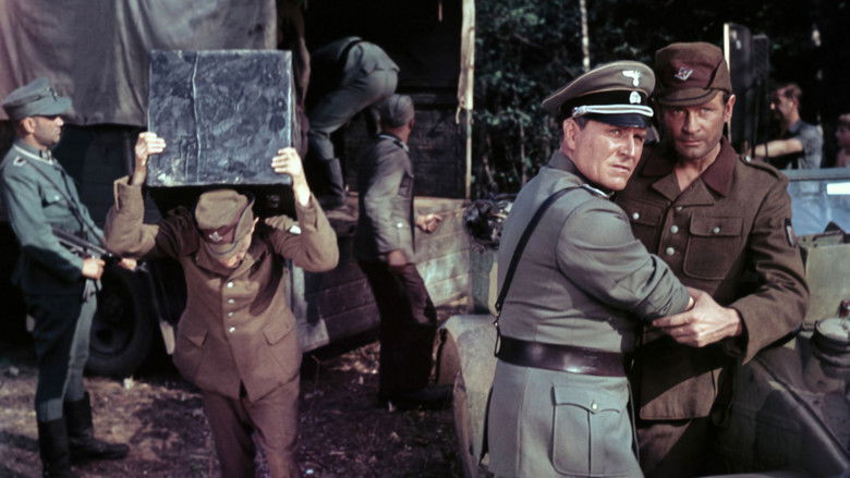 кадр из фильма Последний свидетель