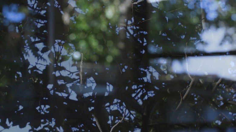 кадр из фильма Lo Que Queda en la Tierra