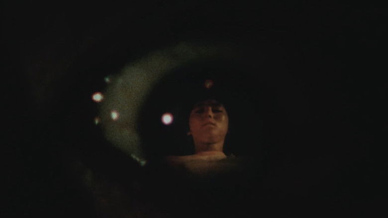 кадр из фильма 夏の秘密