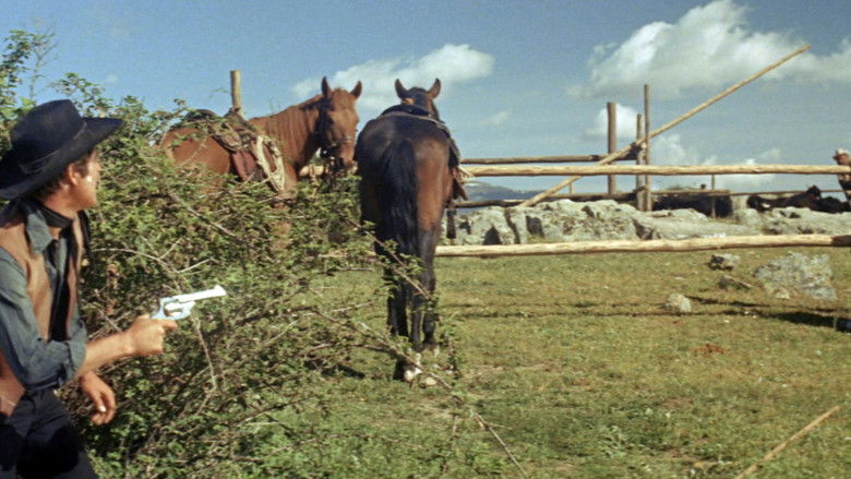 кадр из фильма I due violenti