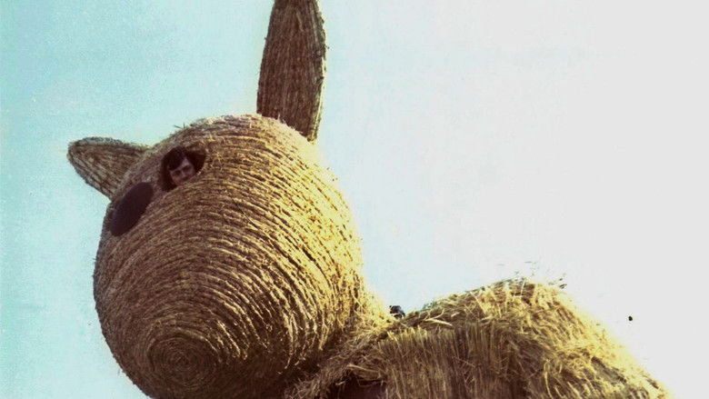 кадр из фильма Медвежонок