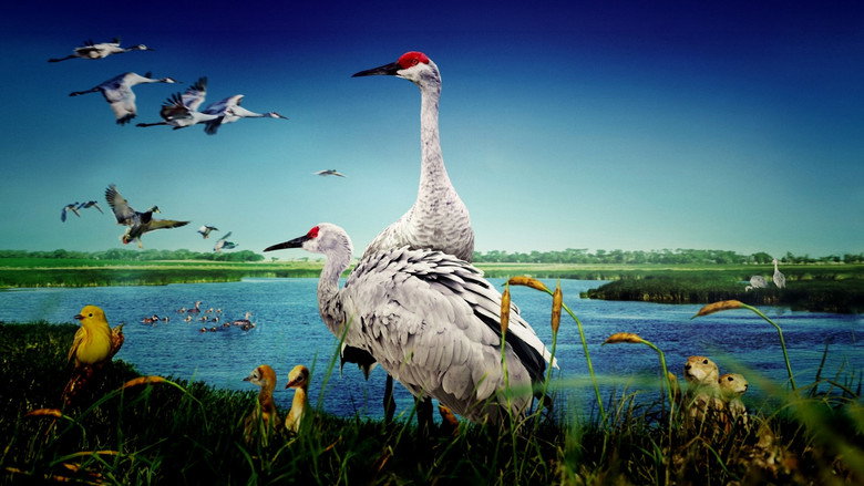 кадр из фильма Wings Over Water