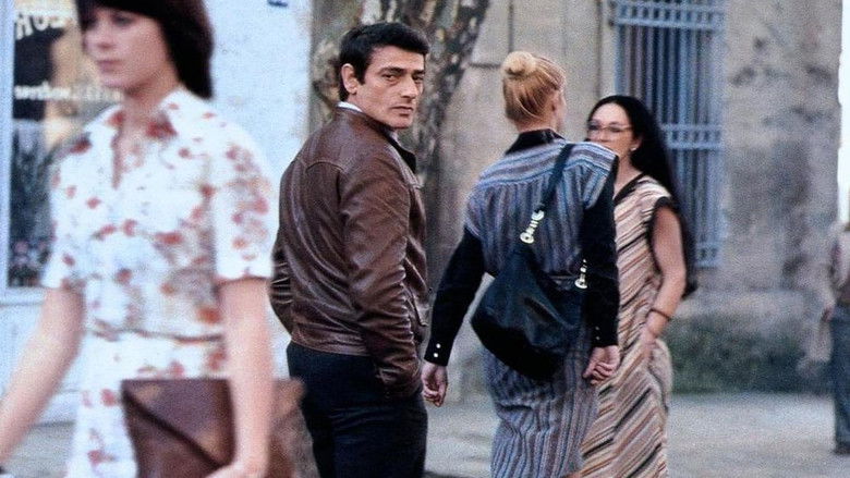 кадр из фильма Мужчина, который любил женщин