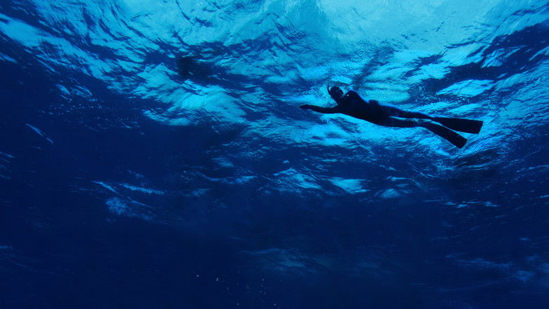 кадр из фильма The Swim