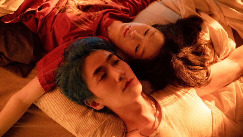 кадр из фильма Страна разбитых сердец