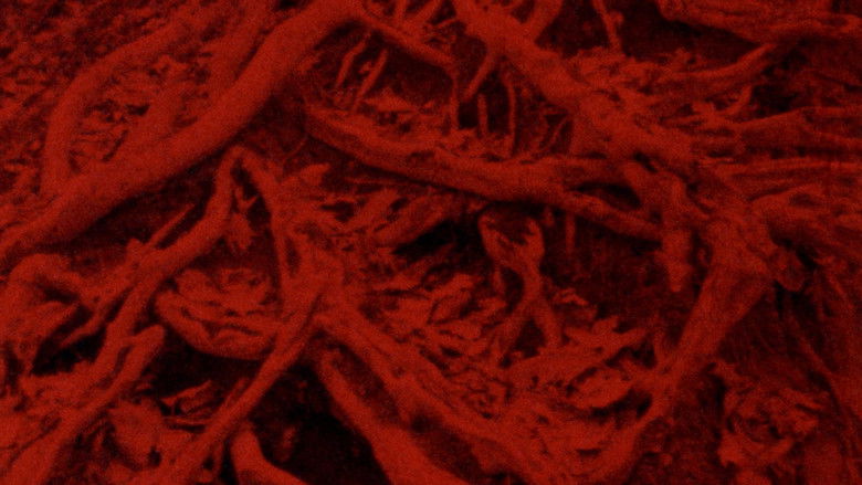 кадр из фильма Puro andar