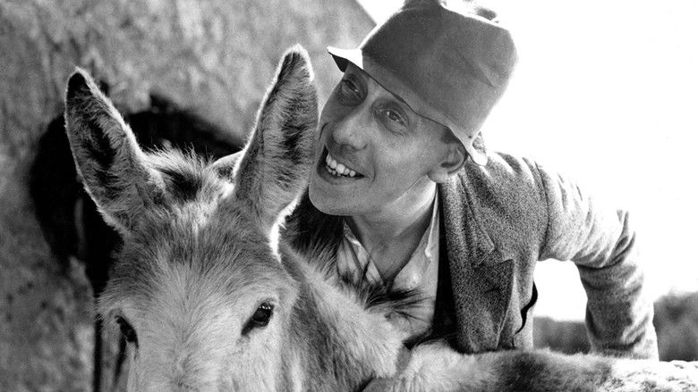 кадр из фильма Angèle