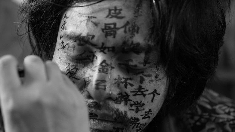 кадр из фильма 伤寒杂病论