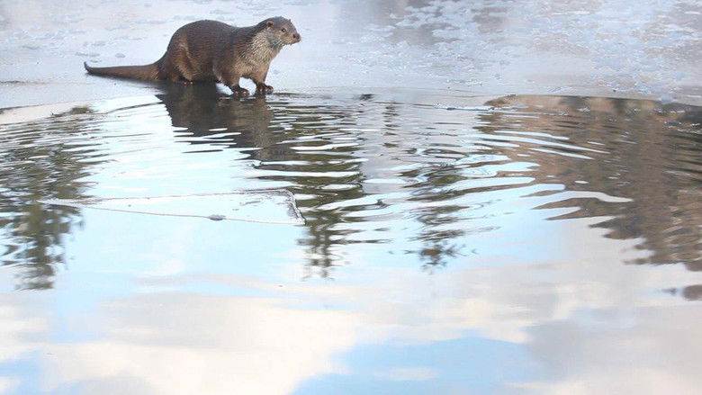 кадр из фильма Roseggers Waldheimat - Ein Jahr im Zauberwald