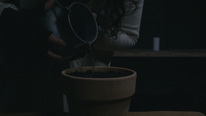 кадр из фильма BLOOM - A Dystopian Short Film