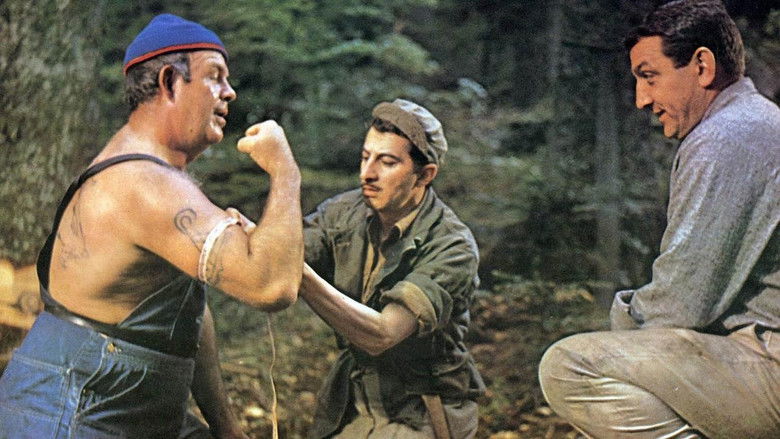 кадр из фильма Лесорубы