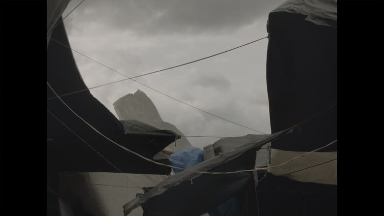 кадр из фильма Laguna negra