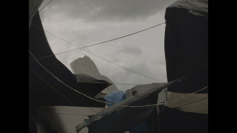 кадр из фильма Laguna negra