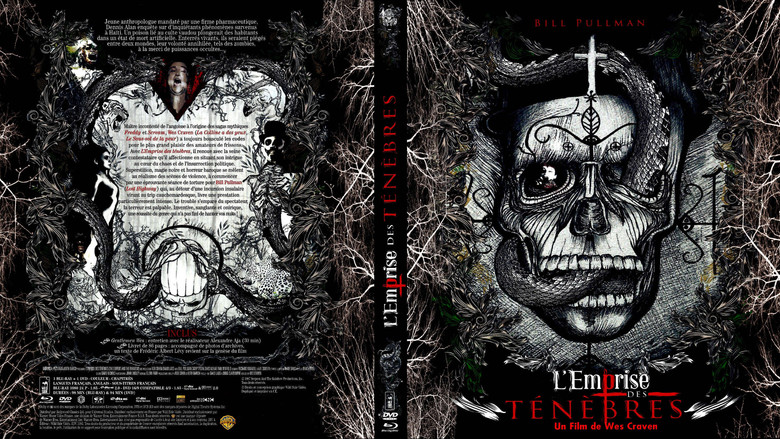 кадр из фильма Змей и радуга