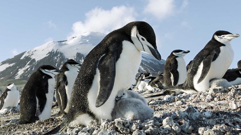 кадр из фильма Земля: Один потрясающий день