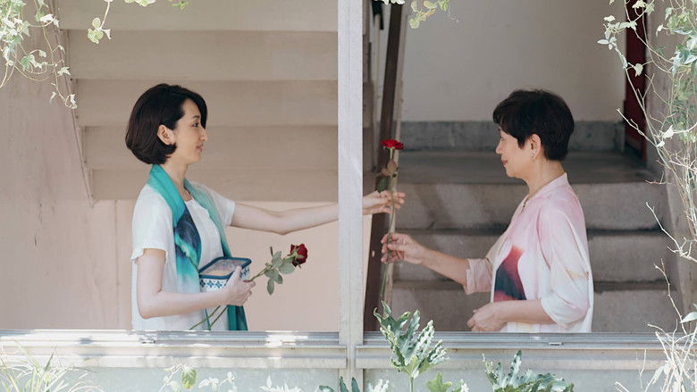 кадр из фильма 一家之主