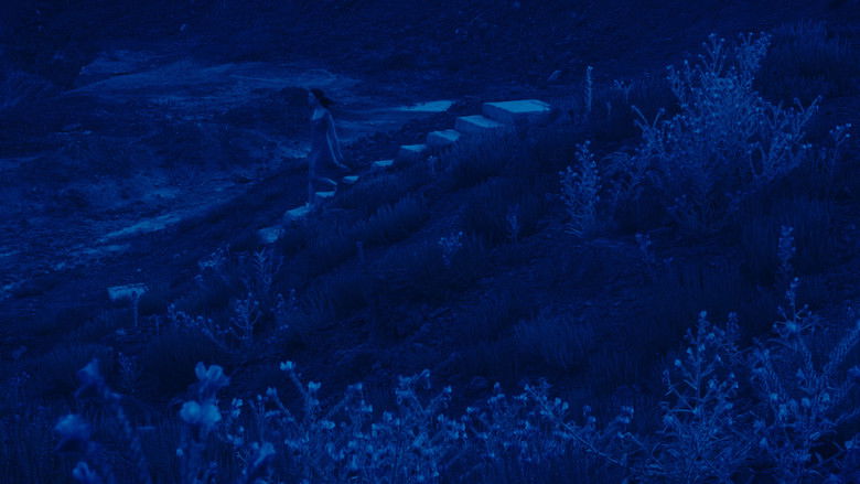 кадр из фильма Fine