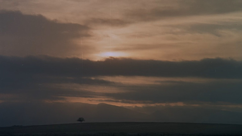 кадр из фильма Тревога