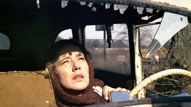 кадр из фильма Год спокойного солнца