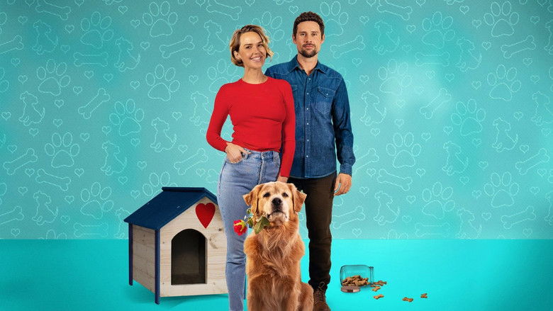 кадр из фильма Love Is a Dog's Best Friend