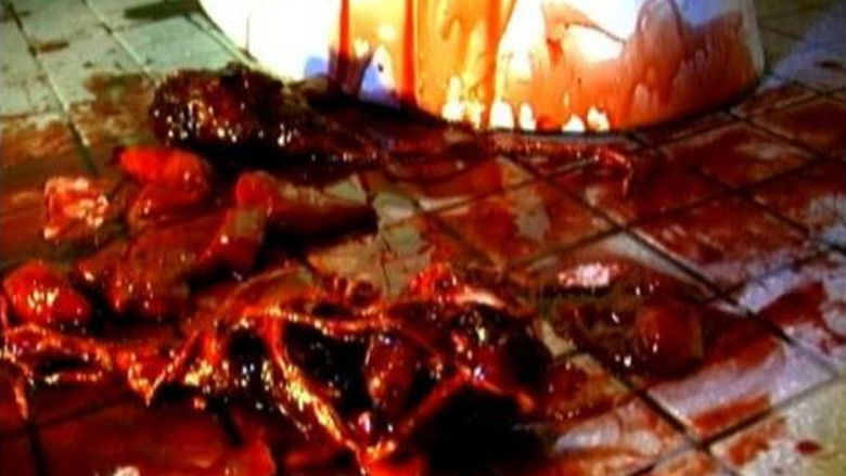 кадр из фильма Tantrum