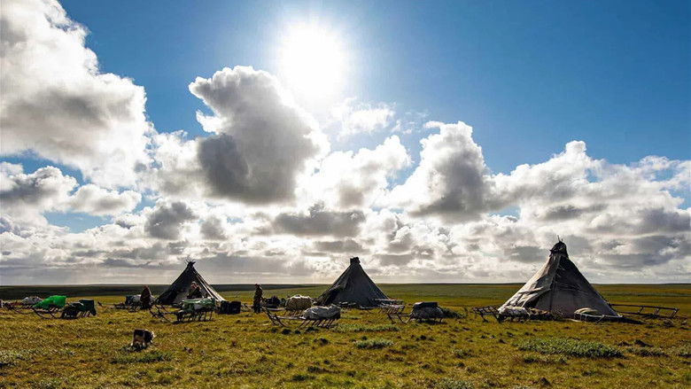 кадр из фильма Gaz russe, la dernière route des Nenets