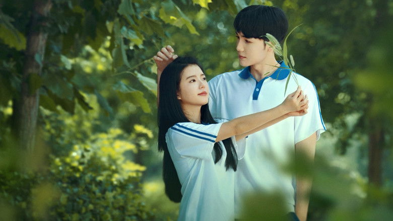 кадр из фильма 我的遗憾和你有关