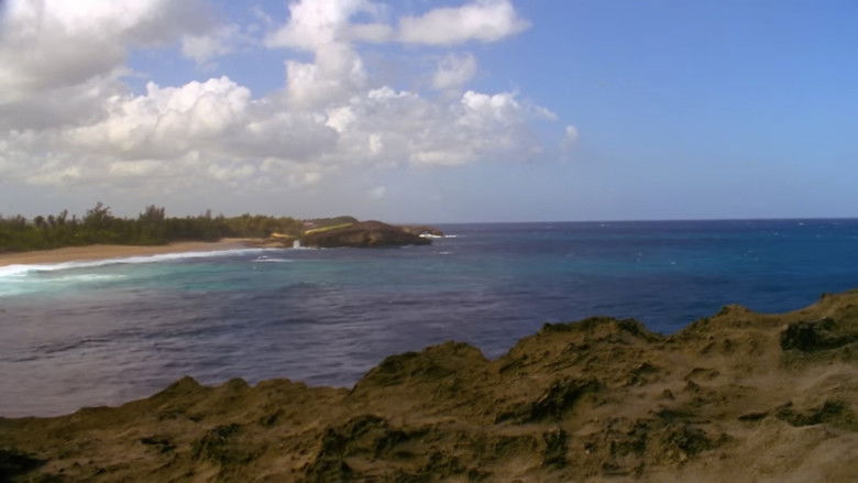 кадр из фильма Psychic Migrations