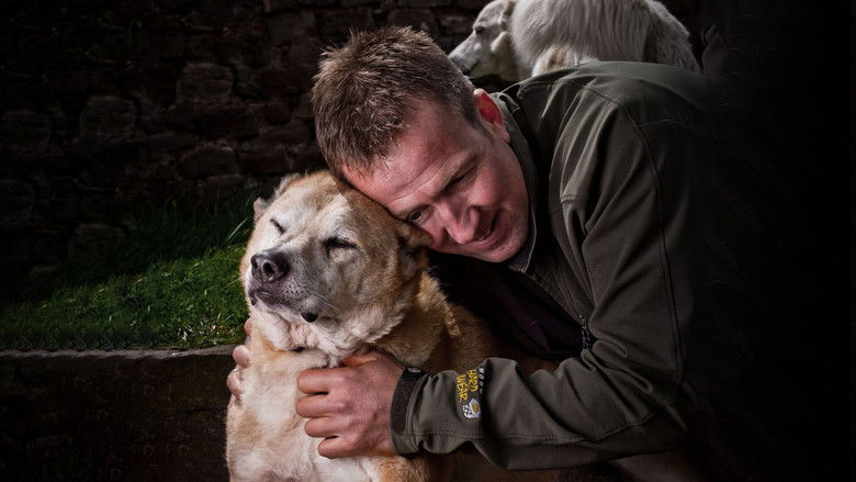 кадр из фильма Animal Airlift: Escaping the Taliban