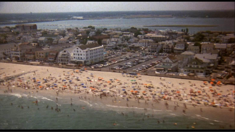 кадр из фильма Фиалки синие