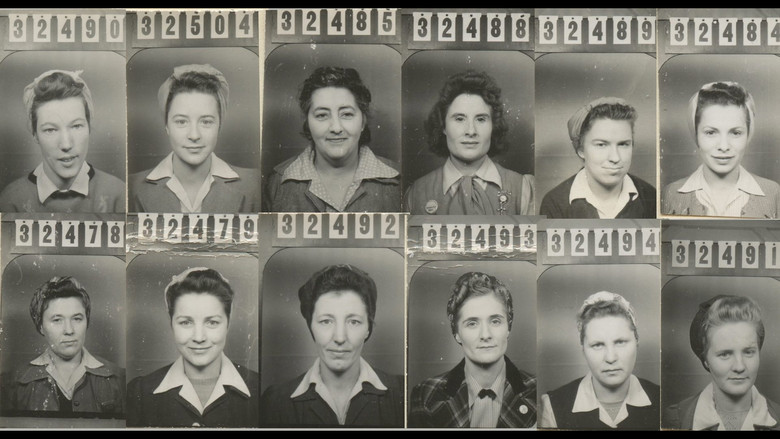 кадр из фильма Rosies of the North