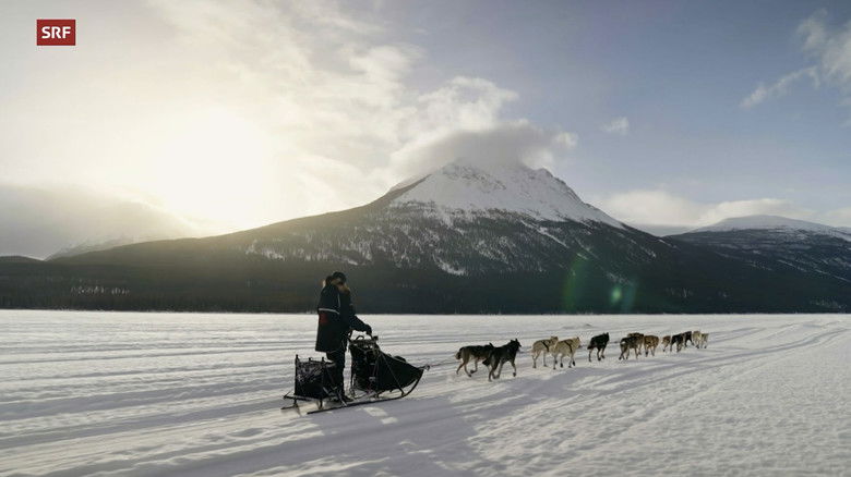 кадр из фильма Musher, l'appel de l'Alaska