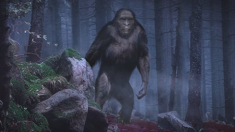 кадр из фильма On the Trail of Bigfoot: The Discovery