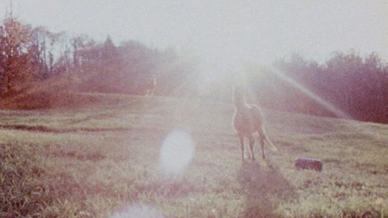 кадр из фильма Horizons