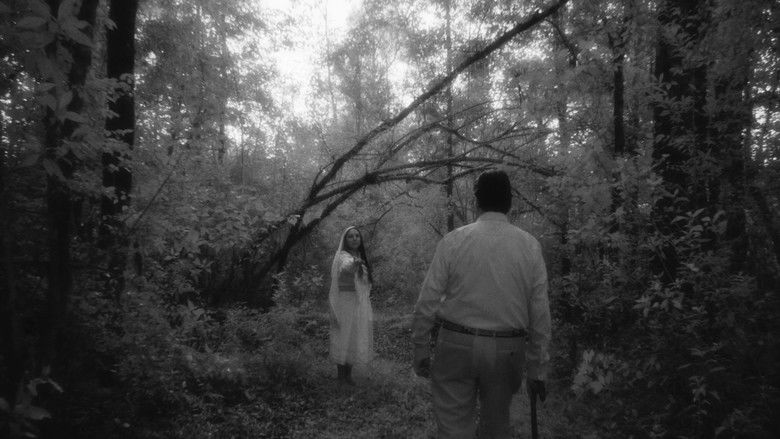 кадр из фильма Curandero