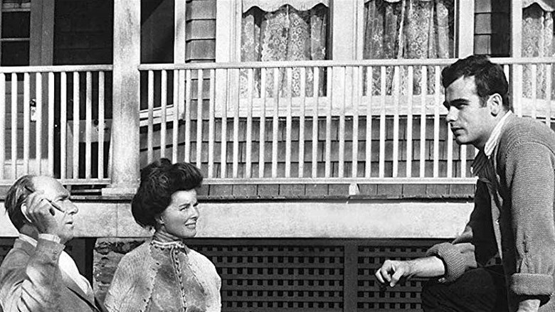 кадр из фильма Долгий день уходит в ночь