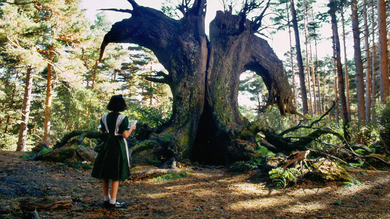 кадр из фильма Лабиринт Фавна