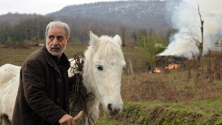 кадр из фильма من و زیبا