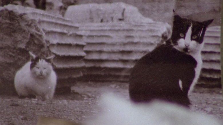 кадр из фильма Сияющий секс