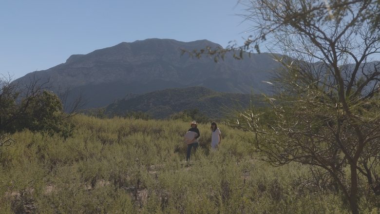 кадр из фильма No soy nadie