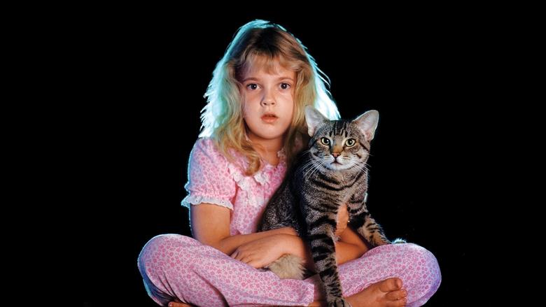 кадр из фильма Кошачий глаз