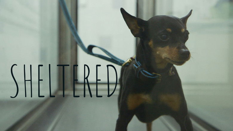 кадр из фильма Dierbaren