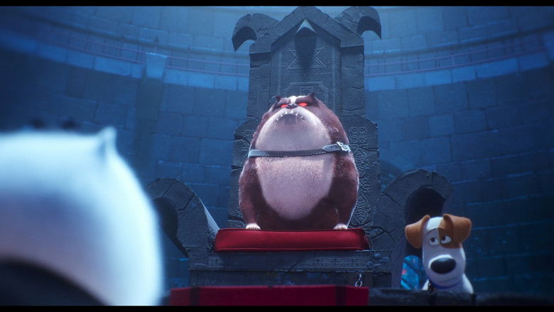 кадр из фильма Super Gidget