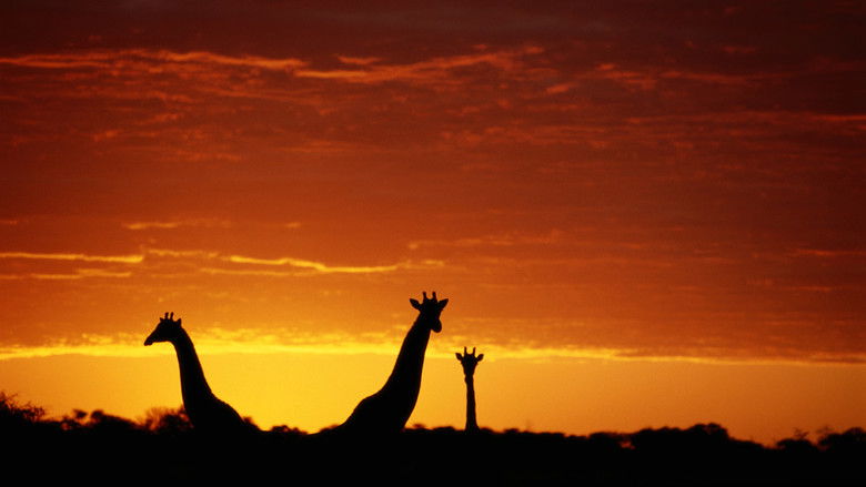 кадр из фильма Symphony for Our World