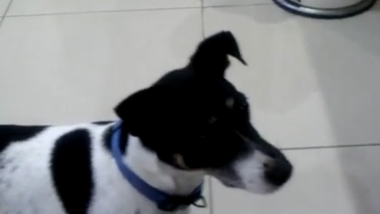 кадр из фильма Moment To Moment