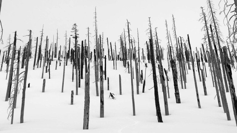 кадр из фильма The Blackcountry Journal