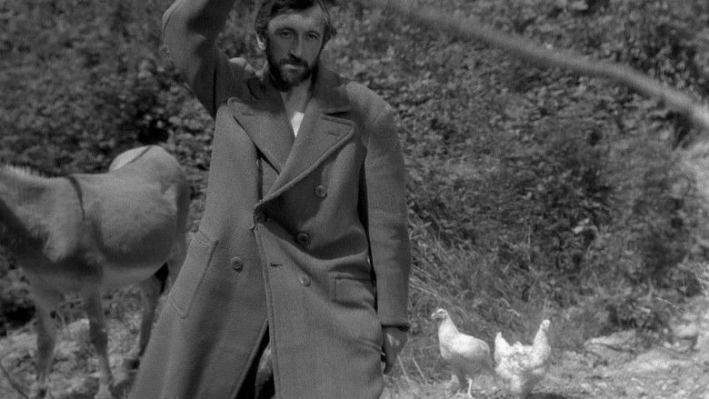 кадр из фильма Наудачу, Бальтазар