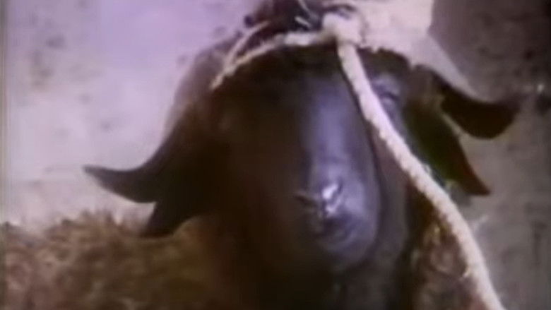 кадр из фильма Vibration